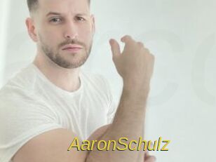 AaronSchulz