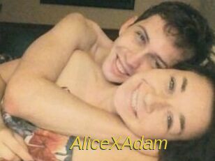 Alice_X_Adam