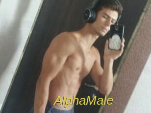 AlphaMale