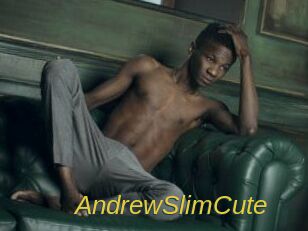 AndrewSlimCute