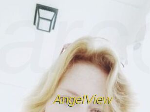 AngelView