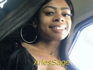 AriesSage