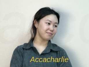 Accacharlie