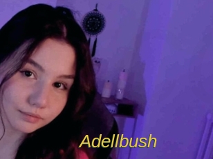 Adellbush