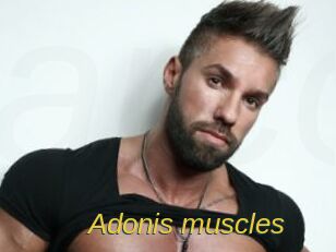 Adonis_muscles