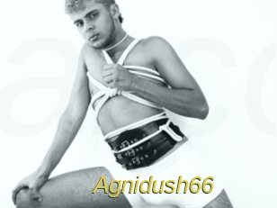 Agnidush66