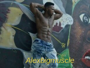 Alexbigmuscle