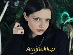 Aminaklep