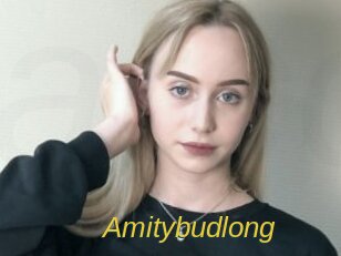 Amitybudlong