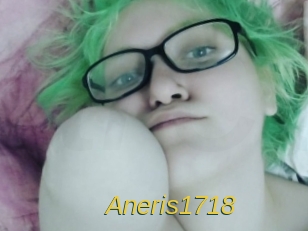 Aneris1718