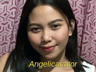 Angelicacator