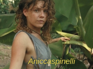 Aniccaspinelli