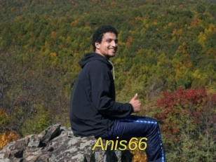 Anis66