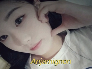 Anjamignon