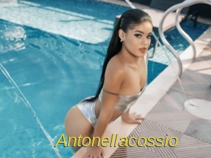 Antonellacossio