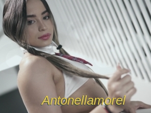 Antonellamorel