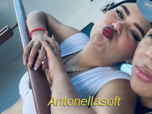 Antonellasoft