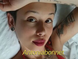 Antoniabonnet