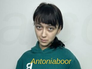 Antoniaboor