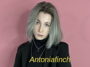 Antoniafinch