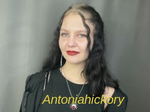 Antoniahickory