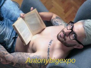 Antonybigexpo