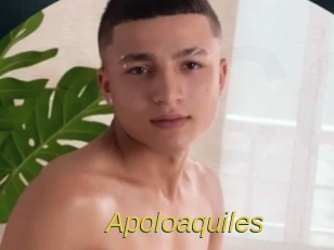 Apoloaquiles