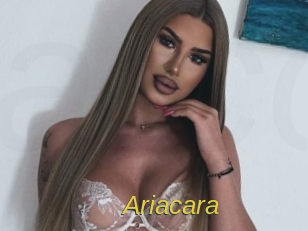 Ariacara