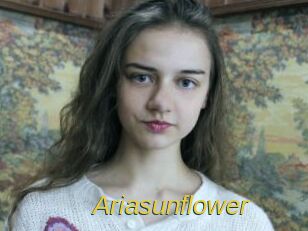 Ariasunflower