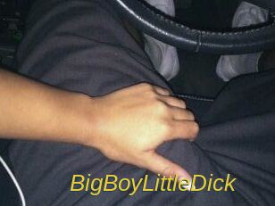 BigBoyLittleDick