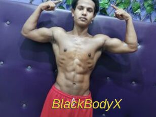 BlackBodyX