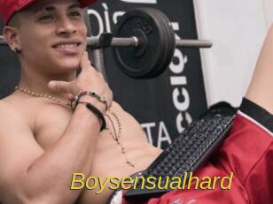 Boysensualhard