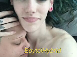 BoytoiHybrid