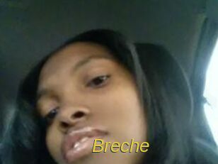 Breche