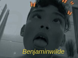 Benjaminwilde