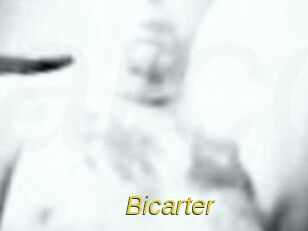 Bicarter