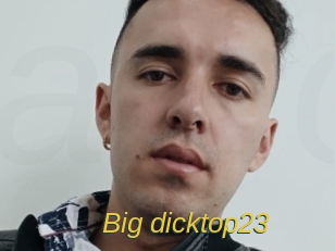 Big_dicktop23