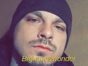 Bigkaneswonder