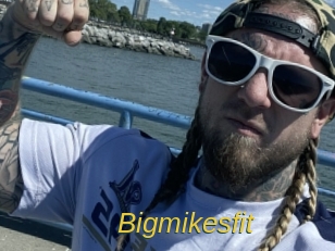 Bigmikesfit