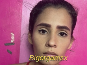 Bigorgamsx