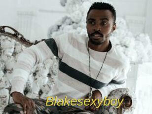 Blakesexyboy