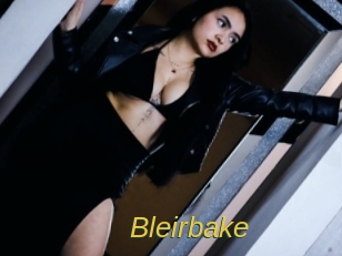 Bleirbake