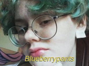 Blueberrypants