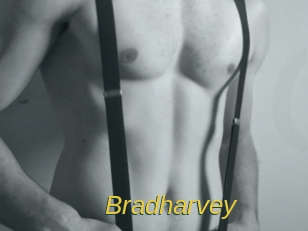 Bradharvey