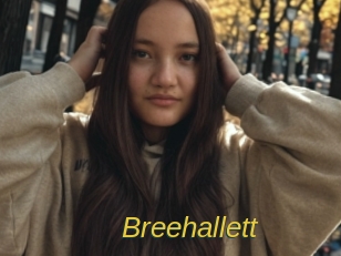 Breehallett