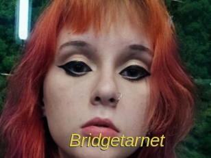 Bridgetarnet