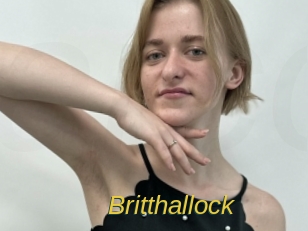 Britthallock