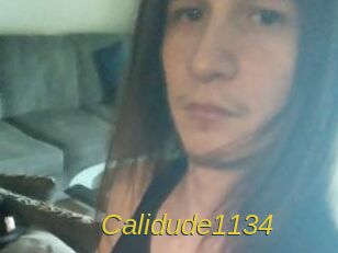 Calidude1134