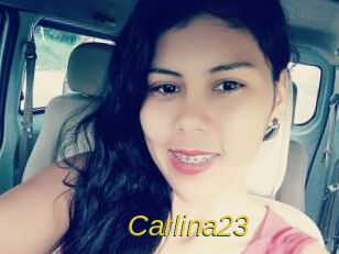 Carlina23