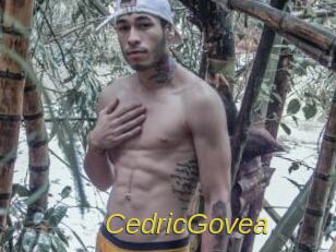 CedricGovea